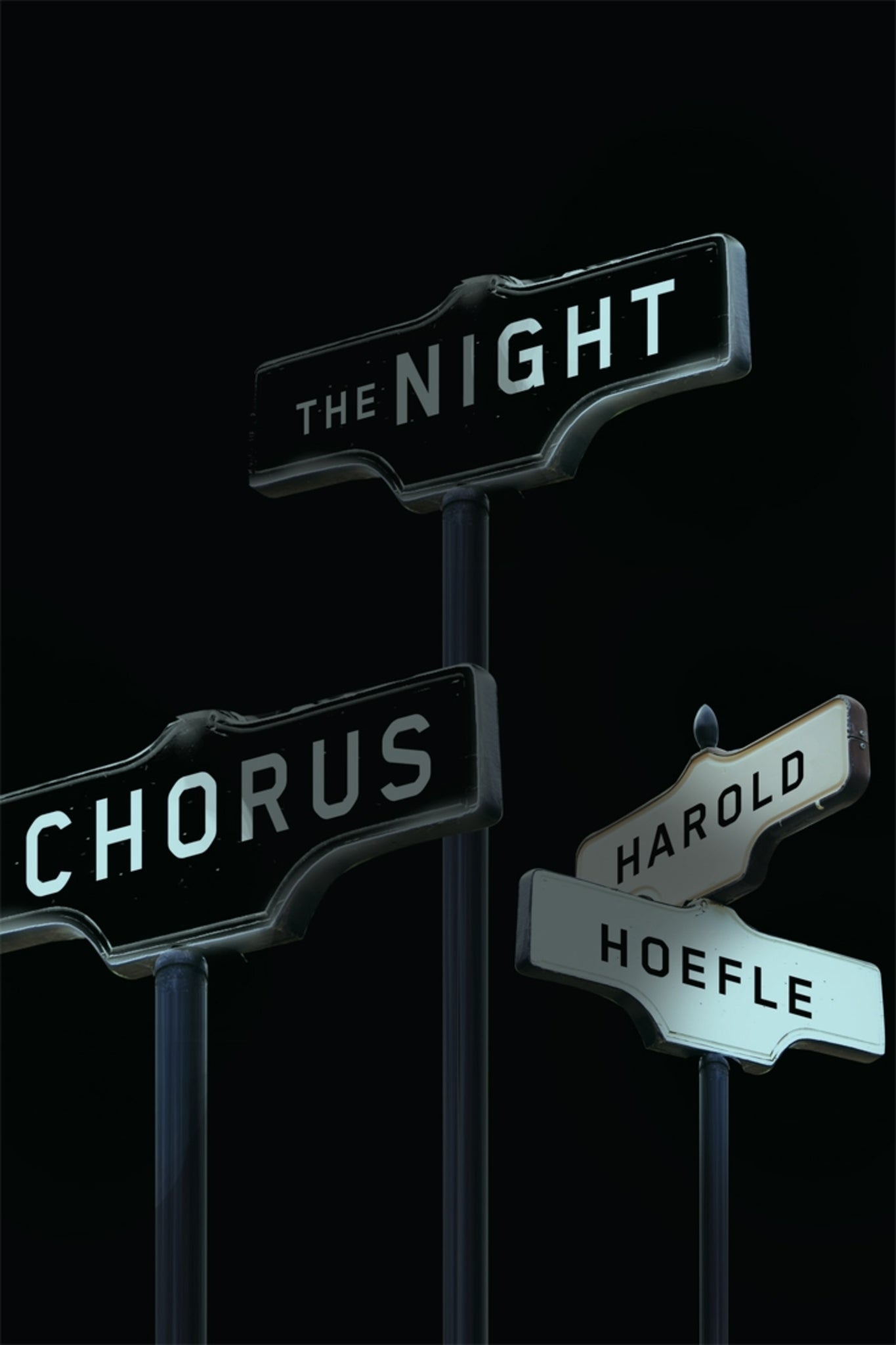 Cover image for The Night Chorus ISBN 9780773554924